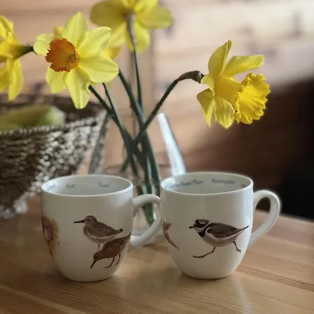 Haus-dreilanden-whg-02 *