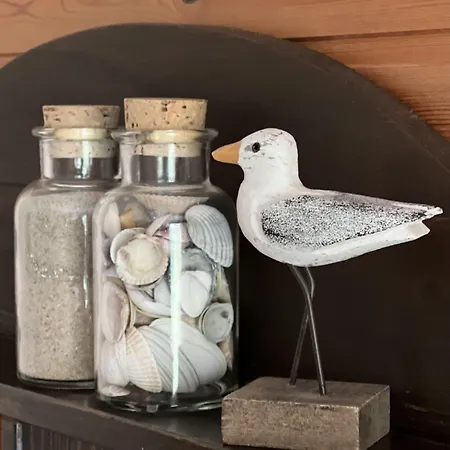 Daire Haus-dreilanden-whg-02 *